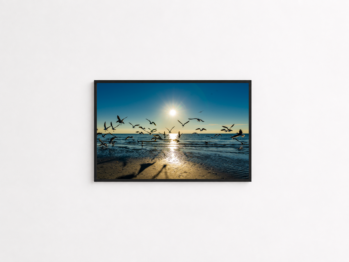 Chasing Light framed Wall Matter category preview