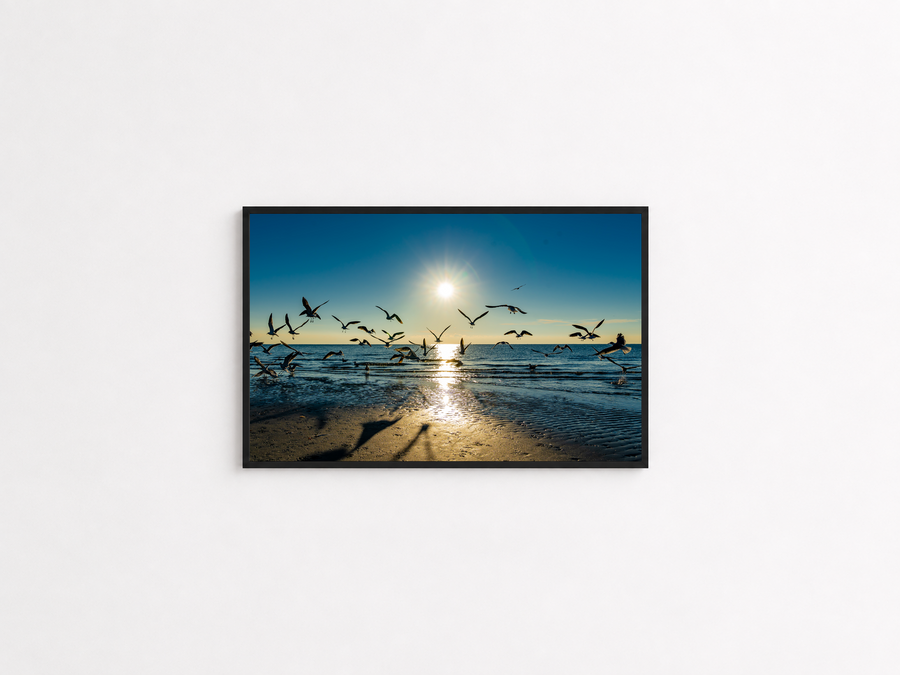 Chasing Light framed Wall Matter category preview