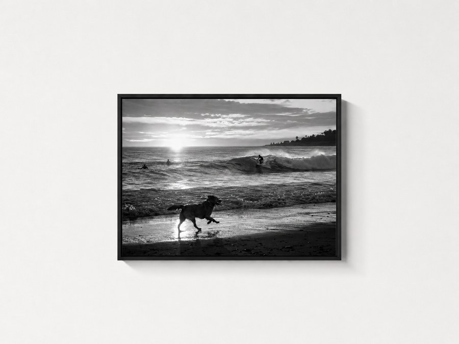 Chasing Waves black and white coastal wall art in a black frame